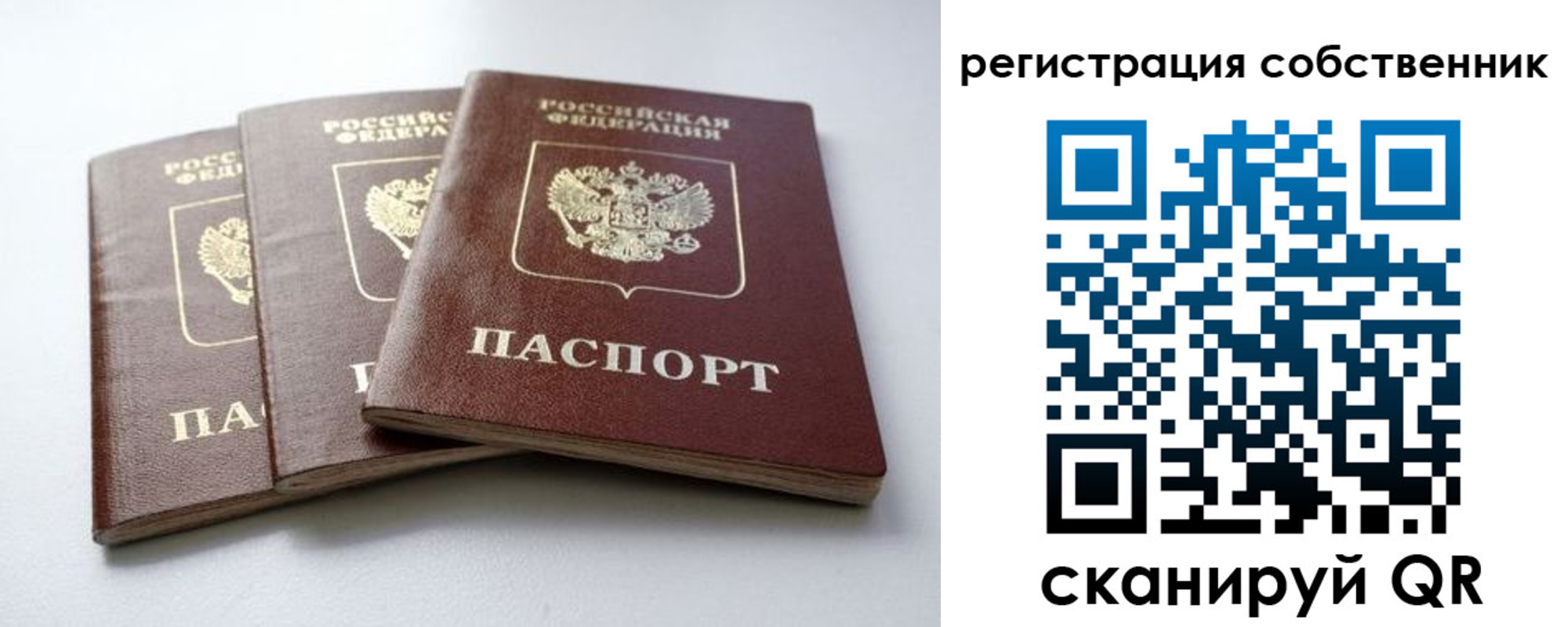 прописка для школы в Невинномысске